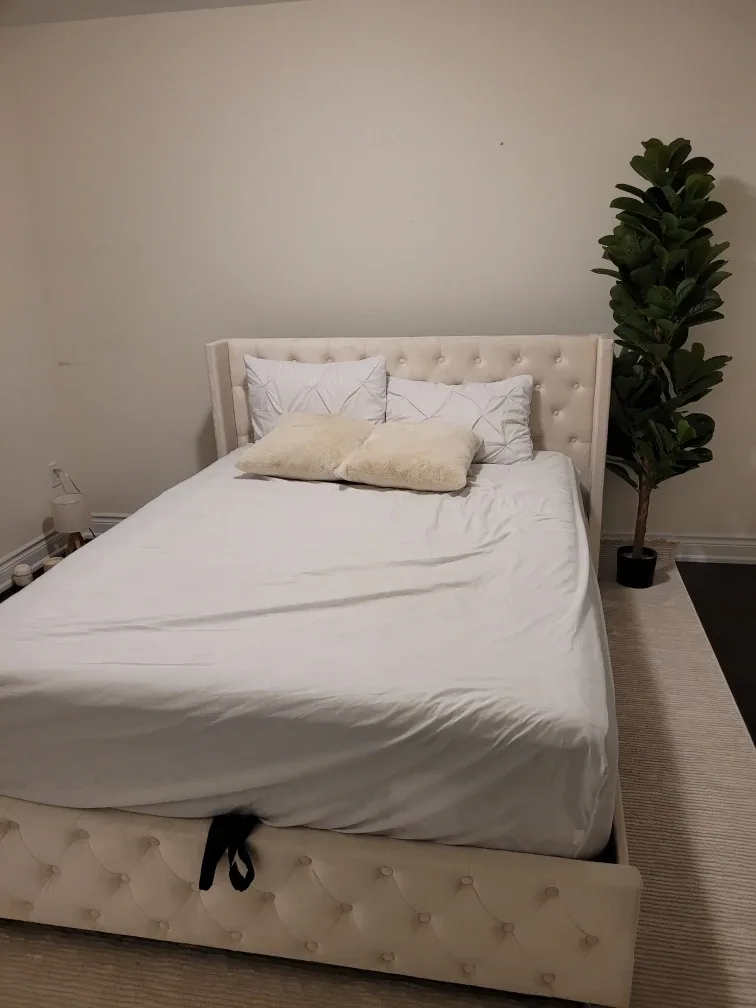 Queen Upholstered Storage Bed Frame - Beige