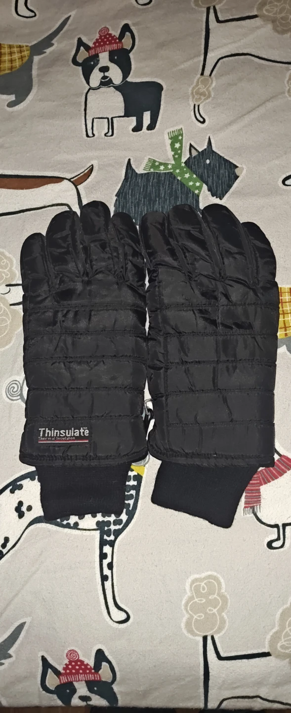 Thinsulate Black Gloves