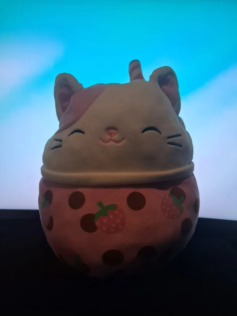 Reversible Boba Cat Squishmallow ♥︎