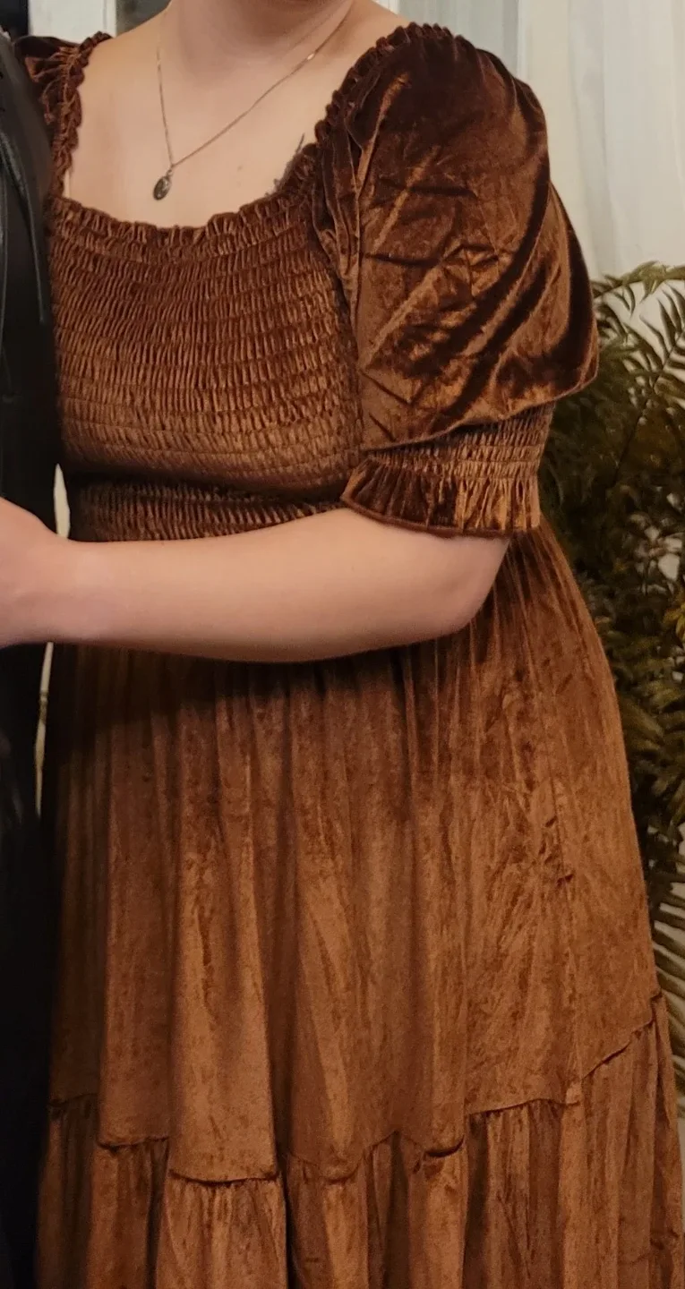 XL Velvet Maxi Dress image indicator(3)