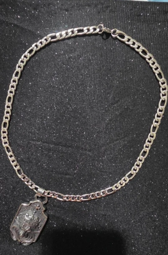 Silver Lion Pendant Necklace stainless steel - photo 4