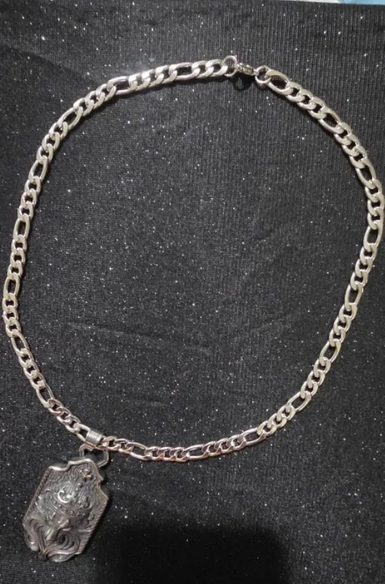 Silver Lion Pendant Necklace stainless steel image indicator(4)