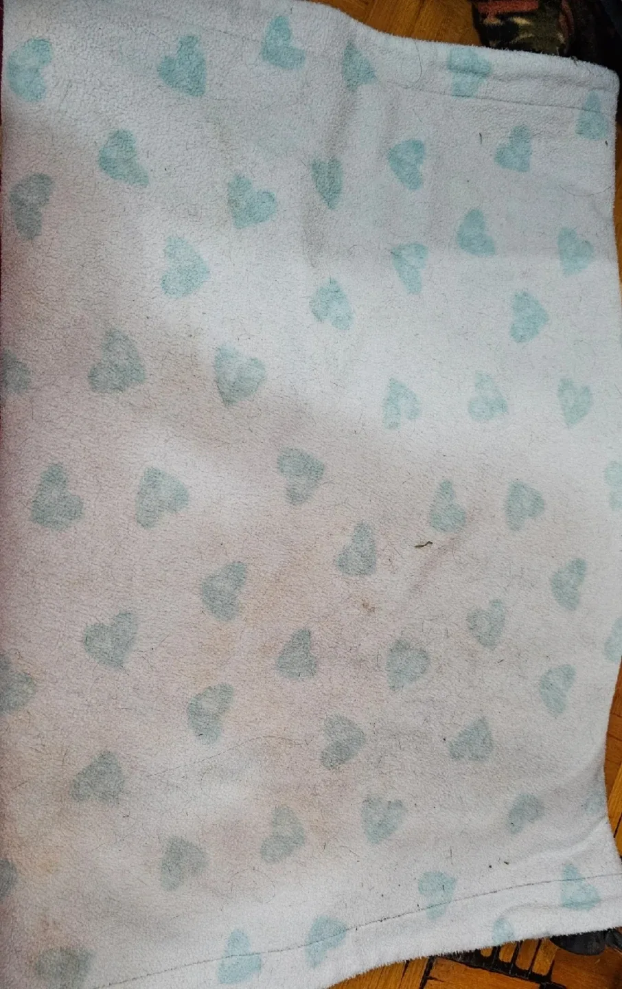 Guinea Pig Supplies bundle image indicator(7)