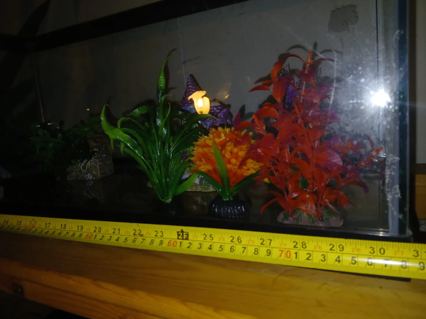 Fish tank image indicator(3)