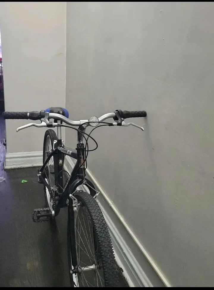 RALEIGH HIBRID BIKE image indicator(8)