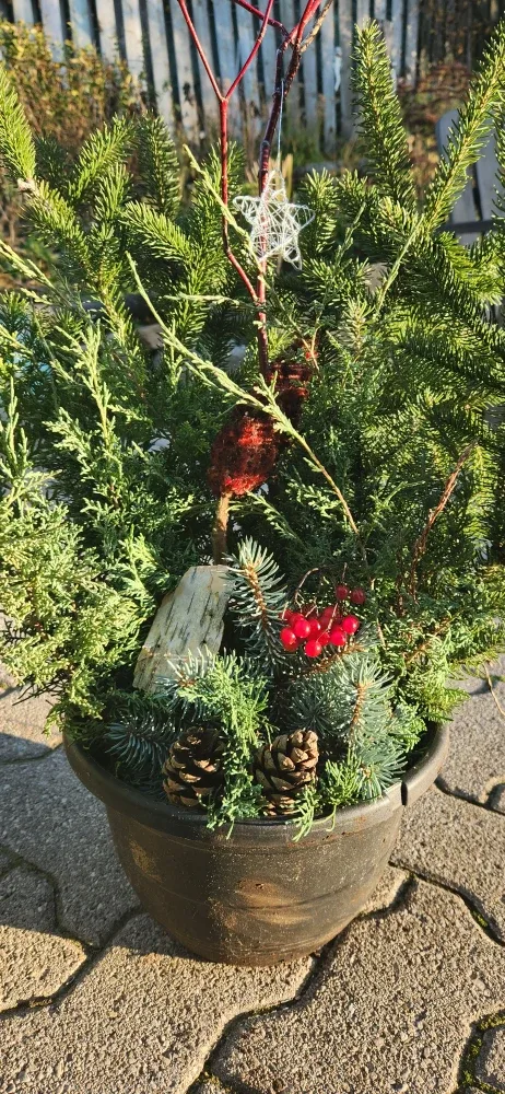 Outdoor Winter Planter image indicator(9)