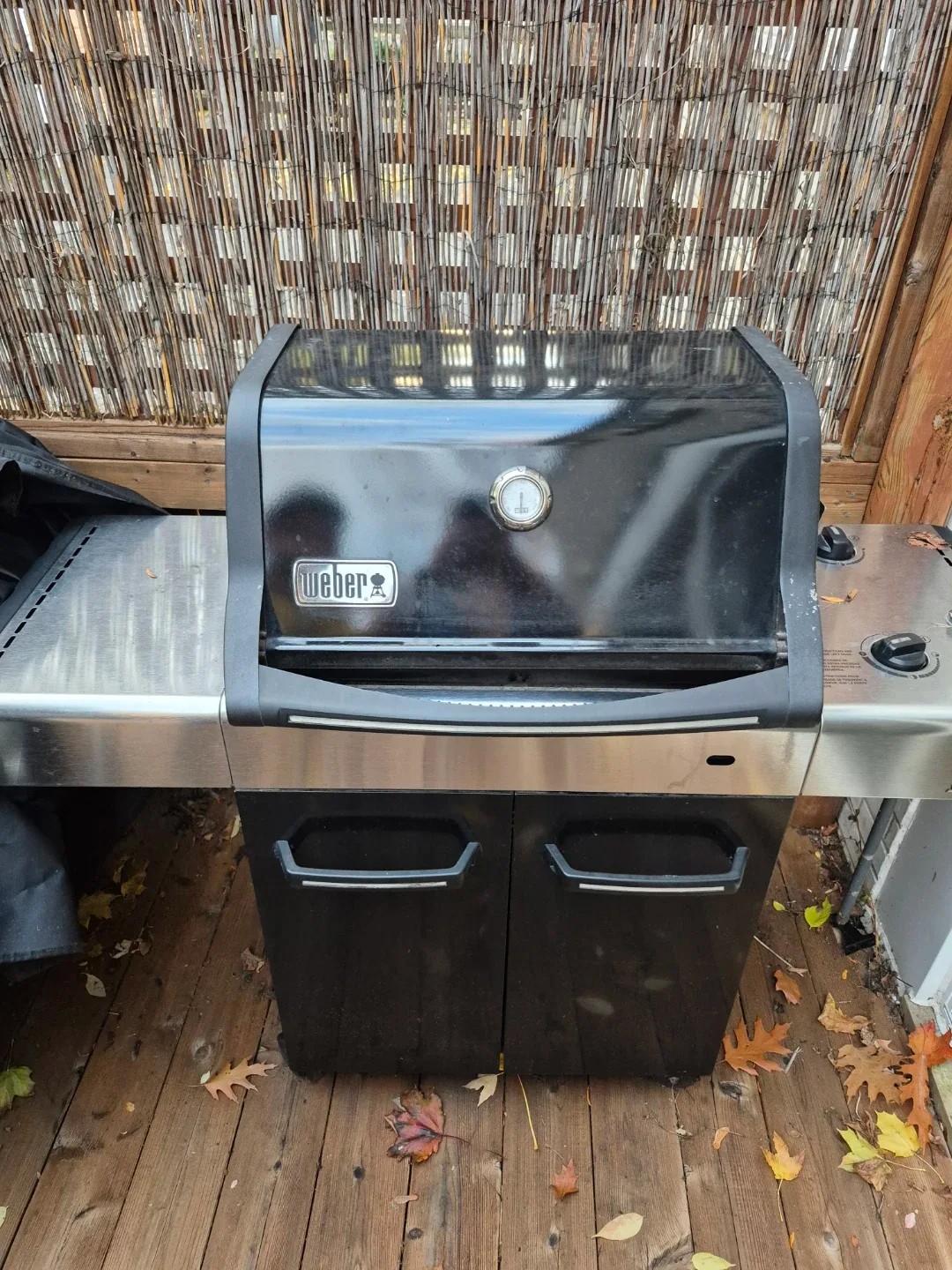 Weber Spirit Gas Grill image indicator(9)