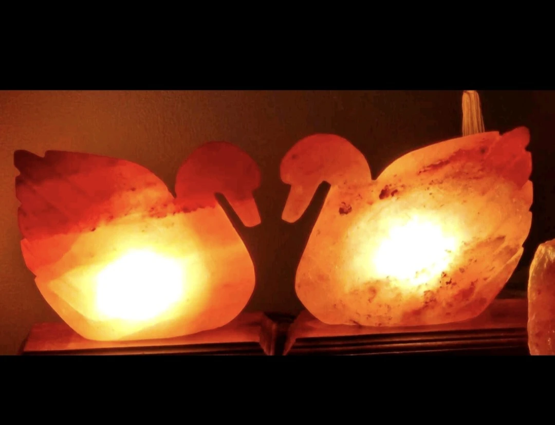 Swan Shaped Himalayan Salt Lamps....