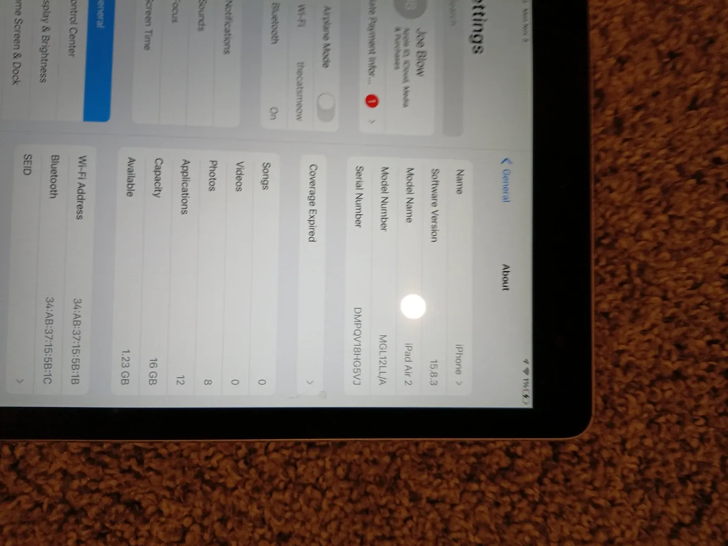 iPad Air 2 - 16GB image indicator(3)