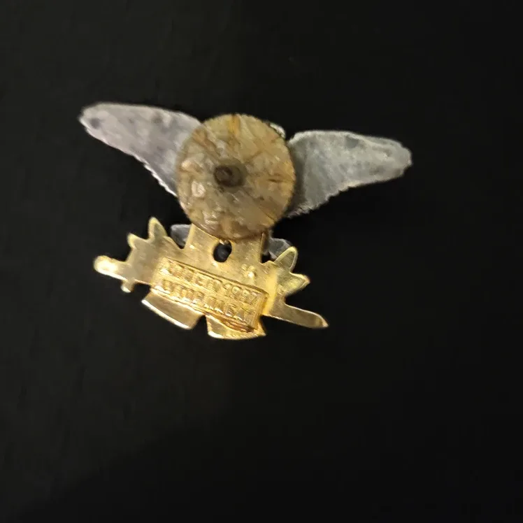 Eagle Pin Badge image indicator(2)