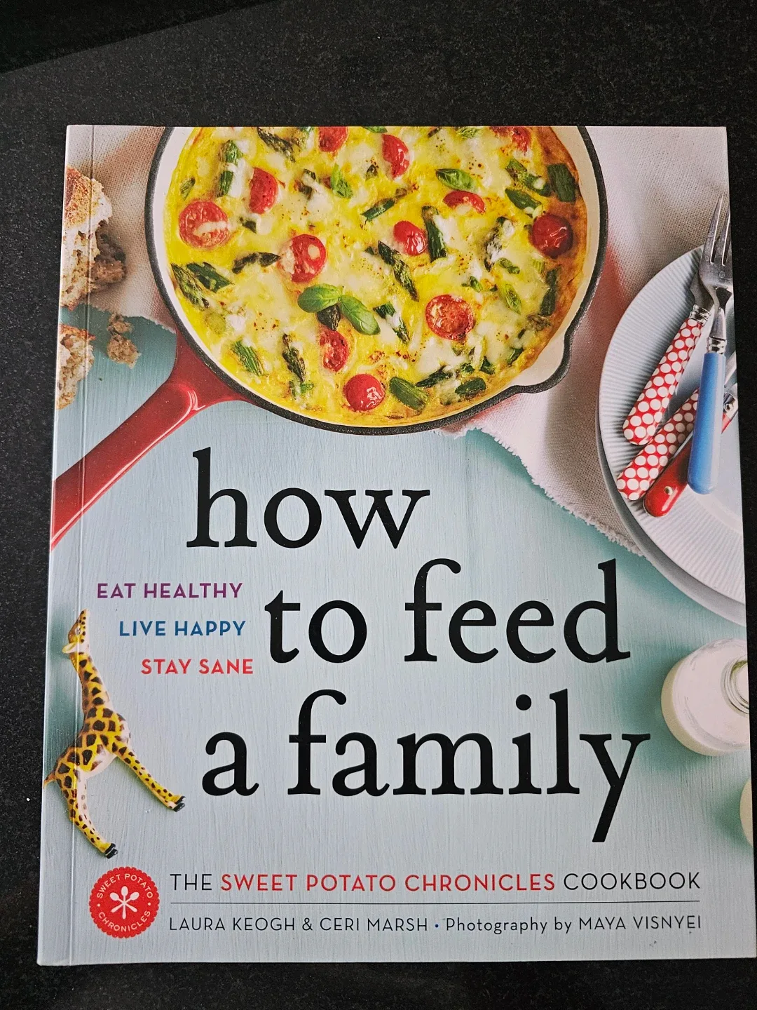 How to Feed a Family Cookbook