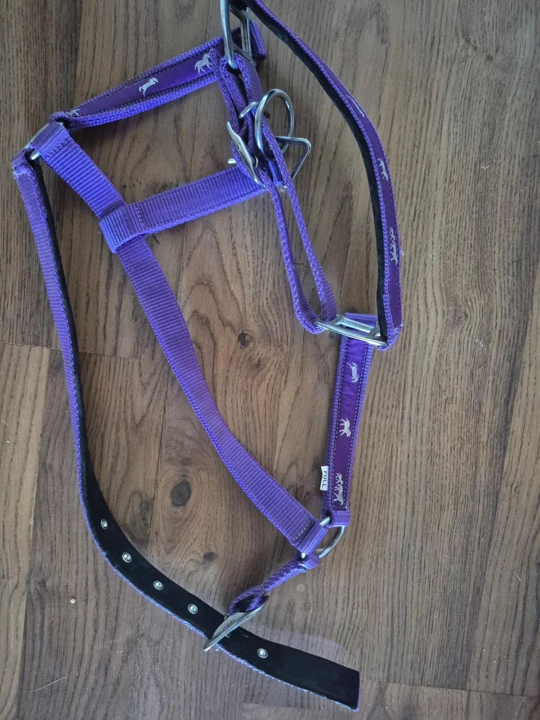 Purple Horse Halter - Size Full image indicator(2)