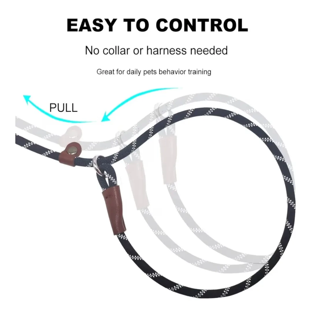 Slip Lead Dog Leash image indicator(4)