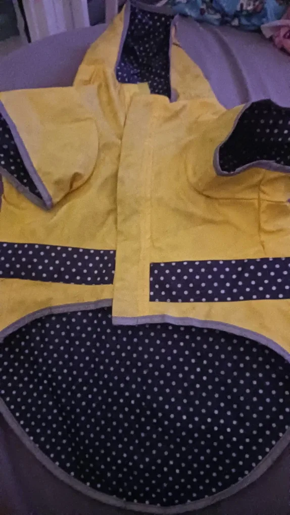 Petco Yellow Dog Raincoat