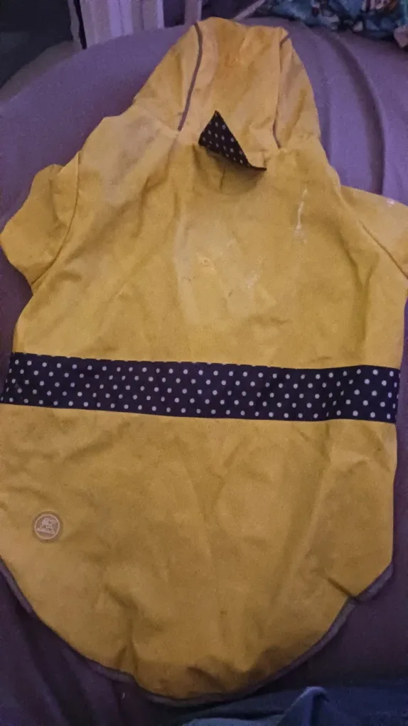 Petco Yellow Dog Raincoat image indicator(2)