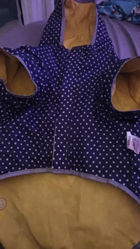 Petco Yellow Dog Raincoat image indicator(3)