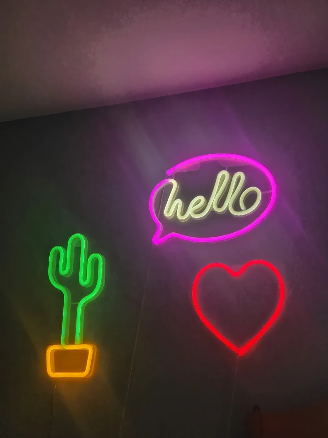 Decorative Neon Lights - Cactus & Heart