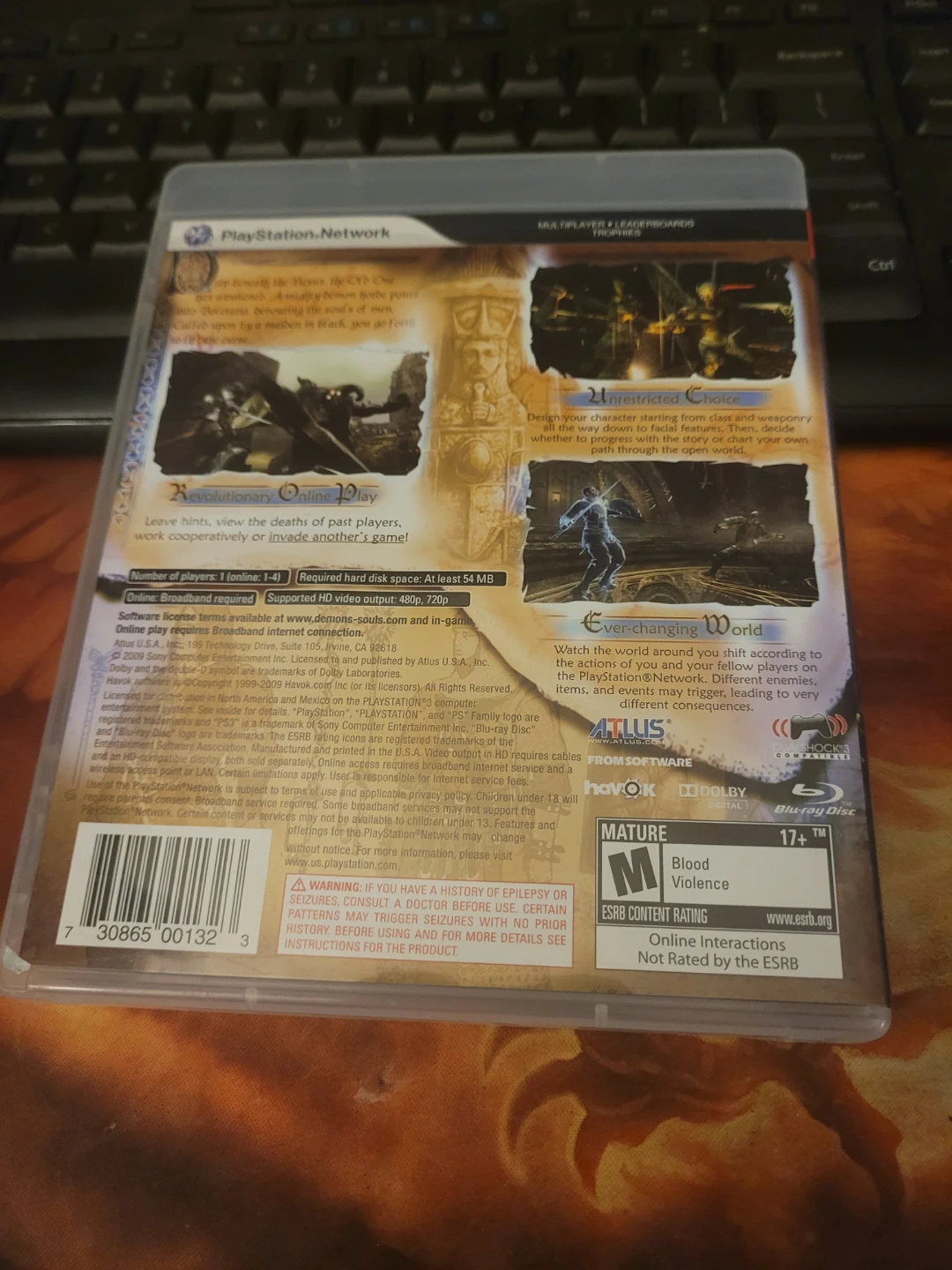 Demon's Souls for PlayStation 3 - photo 3