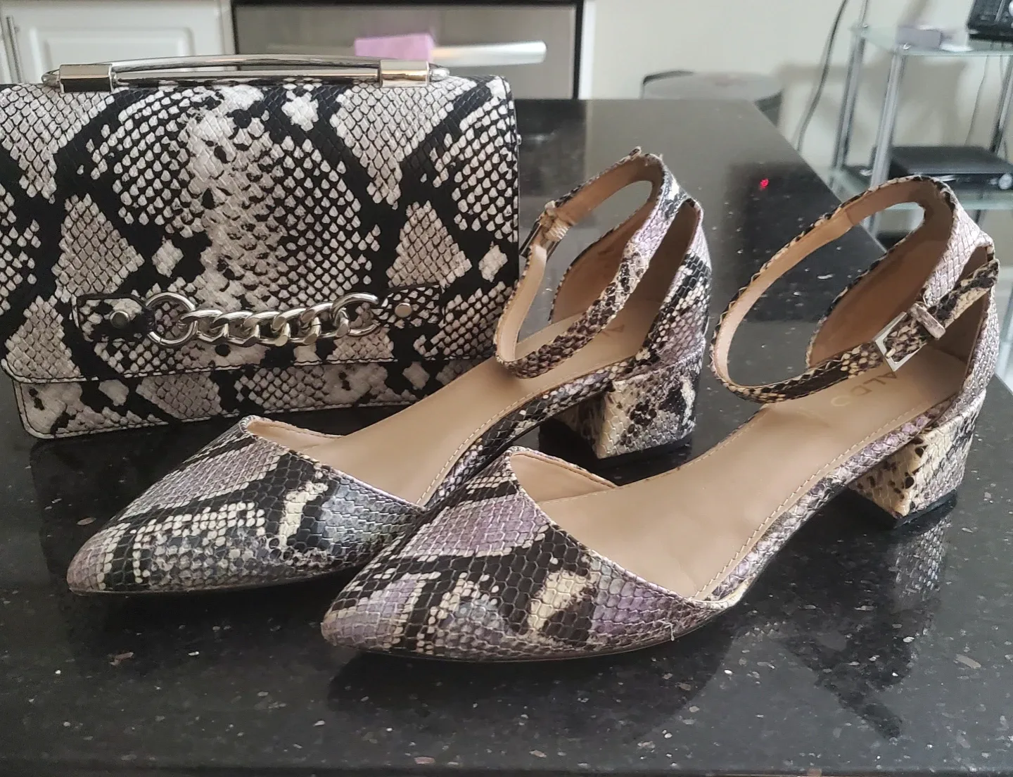 ALDO Snakeskin Print Heels & Matching Bag