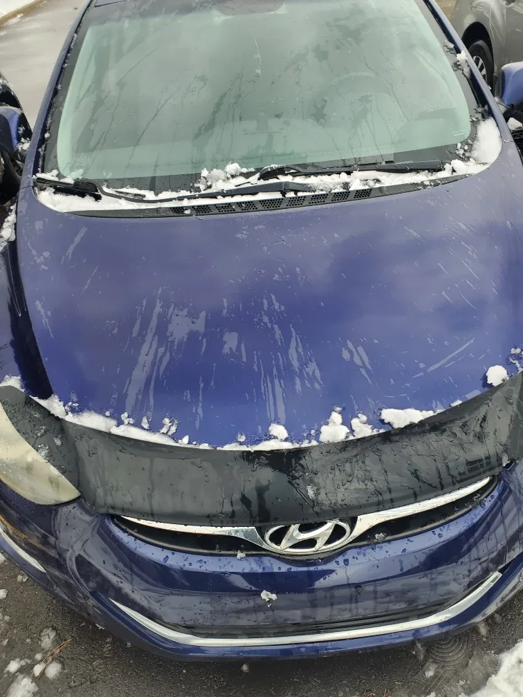 Hyundai Elantra - Blue Sedan image indicator(5)