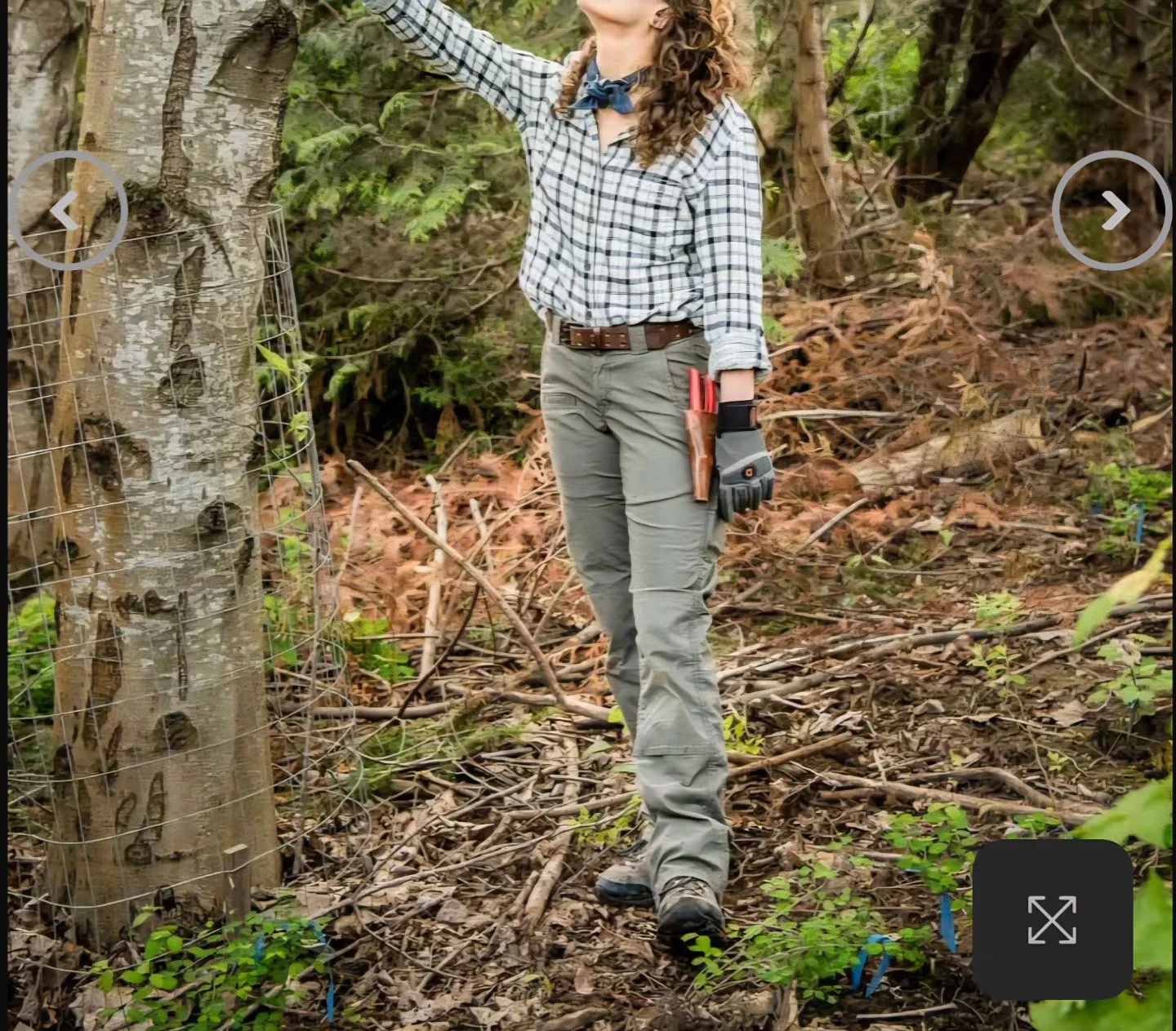 BNWT Dovetail Workwear Day Construct 14/30" image indicator(2)