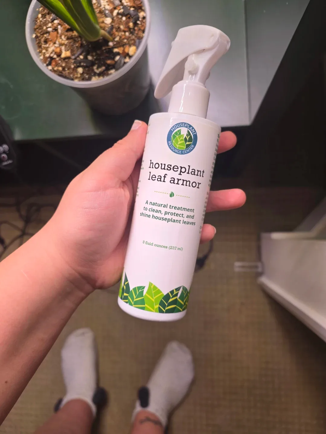 monstera deliciosa+thai & supplies image indicator(2)