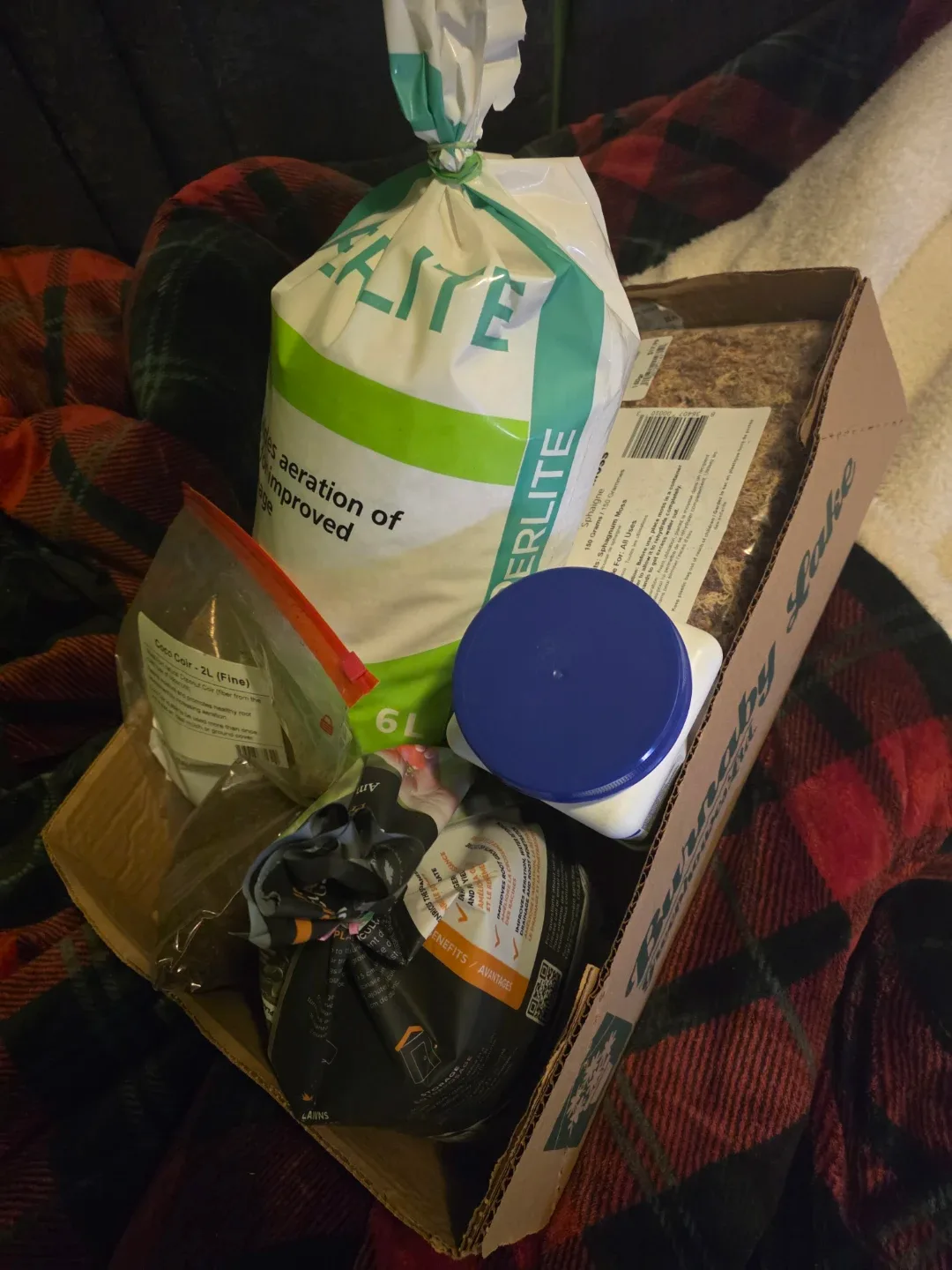 monstera deliciosa+thai & supplies image indicator(3)