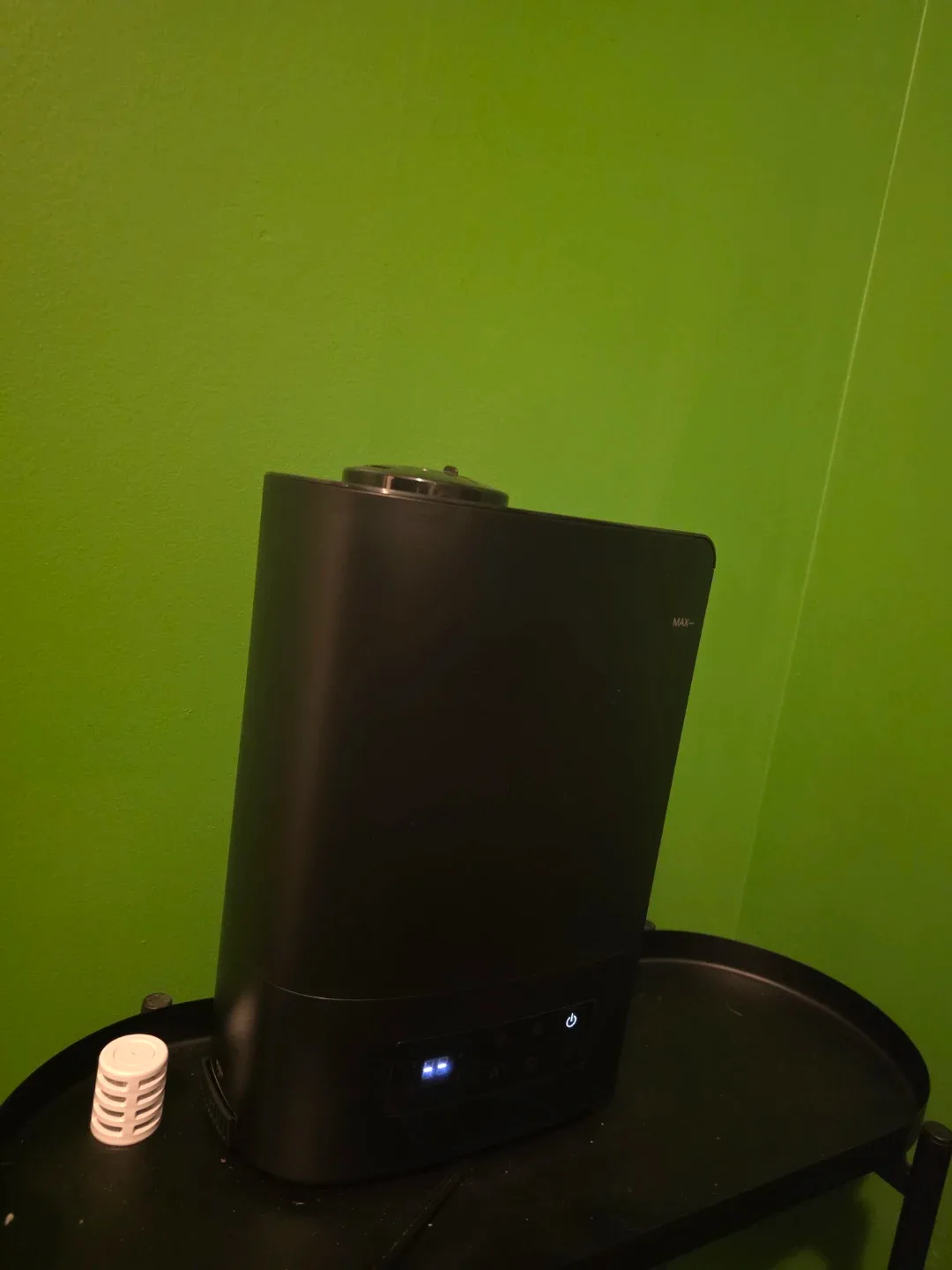 monstera deliciosa+thai & supplies image indicator(4)