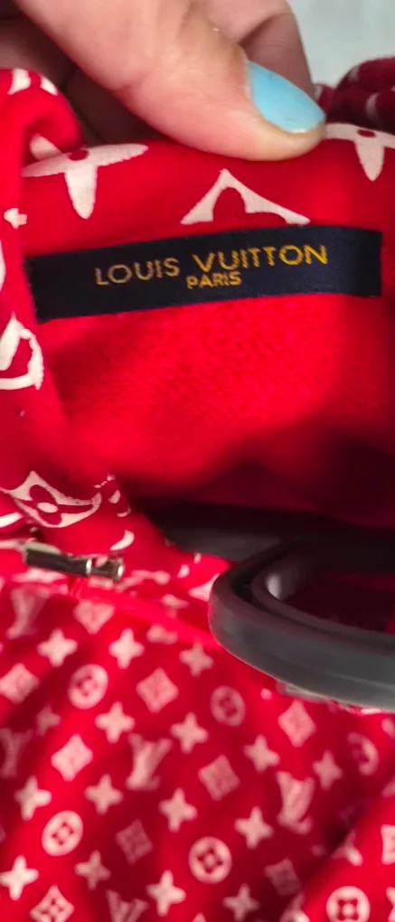 Louis Vuitton x Supreme Red Hoodie image indicator(2)