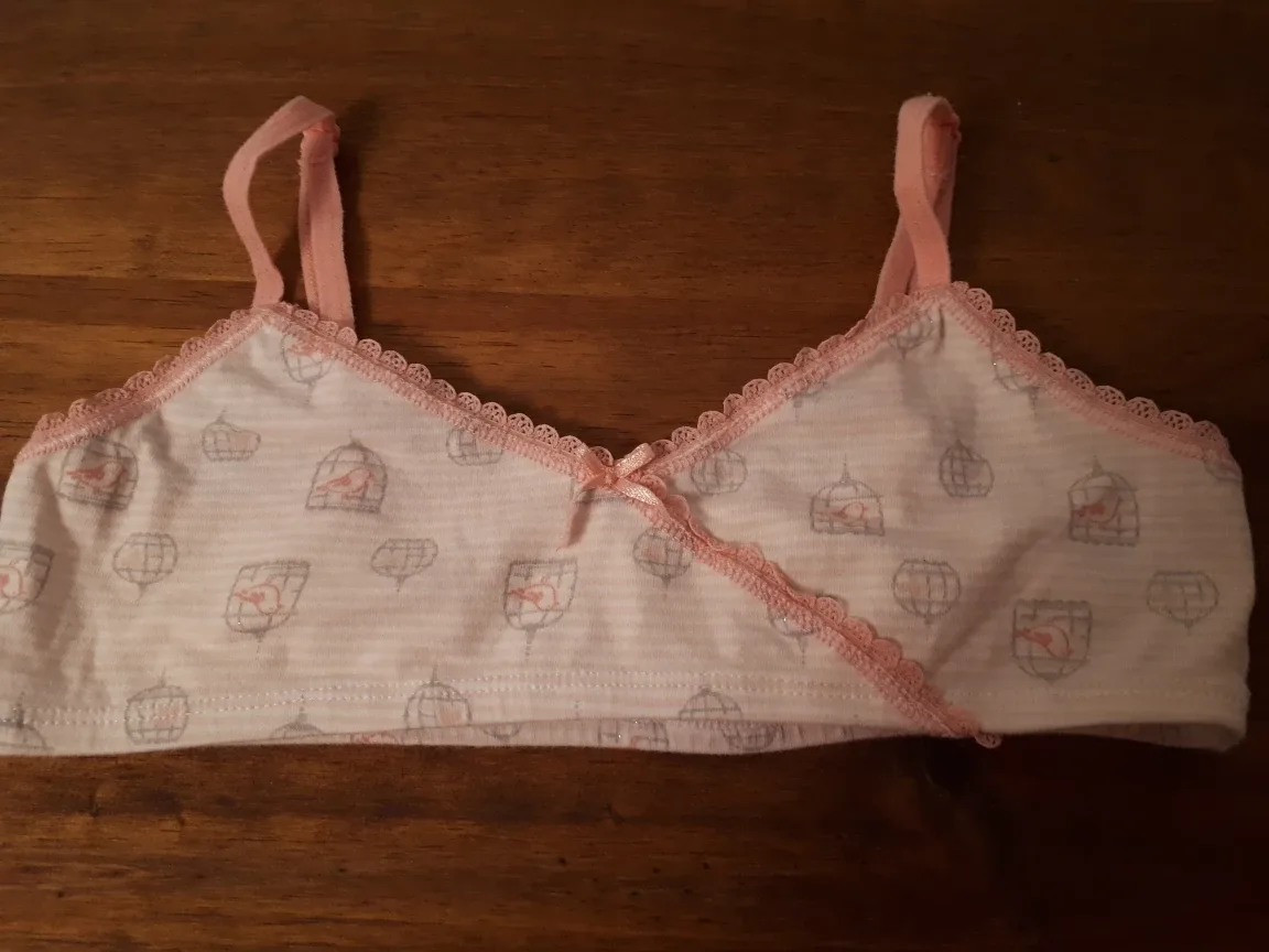 NWOT. Girls' Training Bras - Size 10/12 image indicator(5)