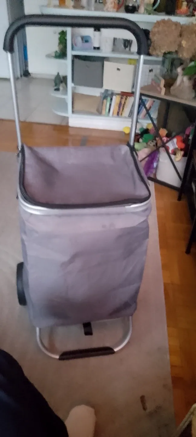 Rolling Shopping Cart - Grey