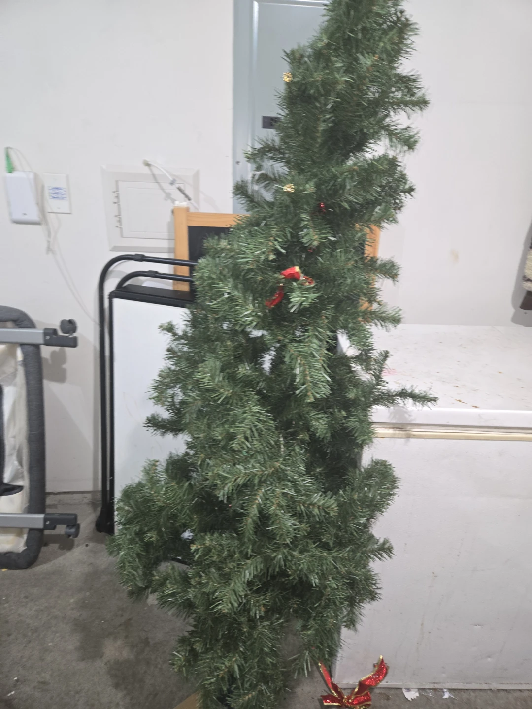Christmas trees - photo 3