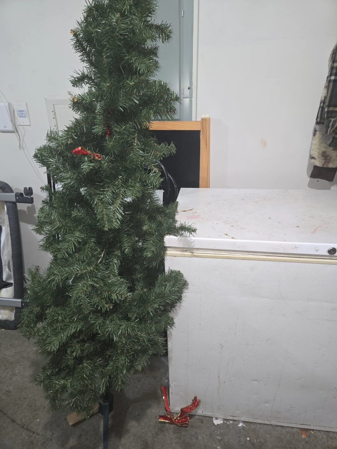 Christmas trees - photo 4