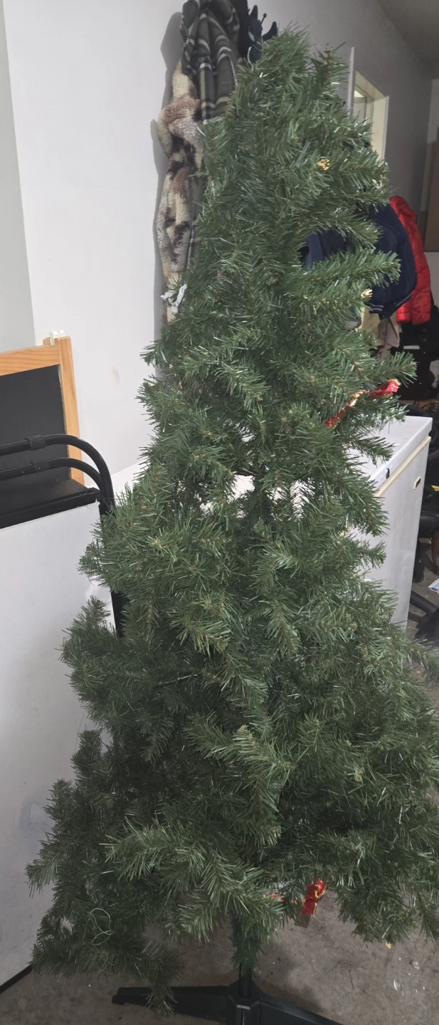 Christmas trees - photo 5