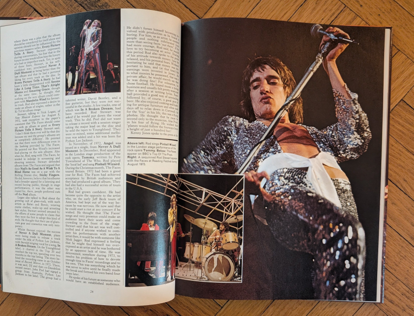 Rod Stewart by Tony Jasper - photo 3