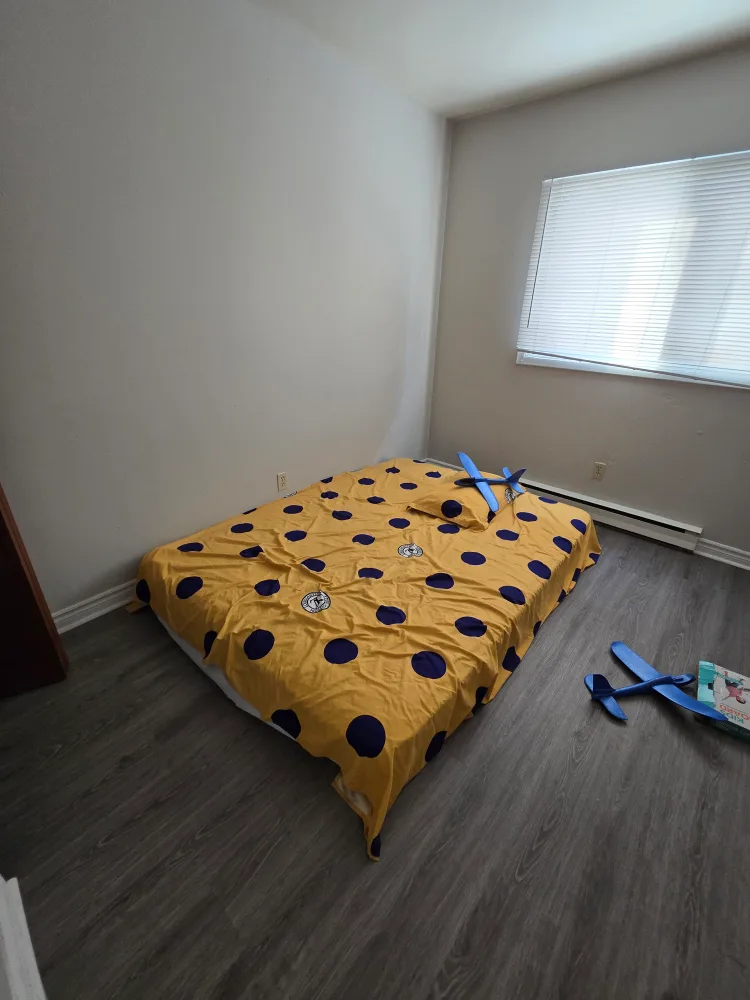 Queen size mattress.