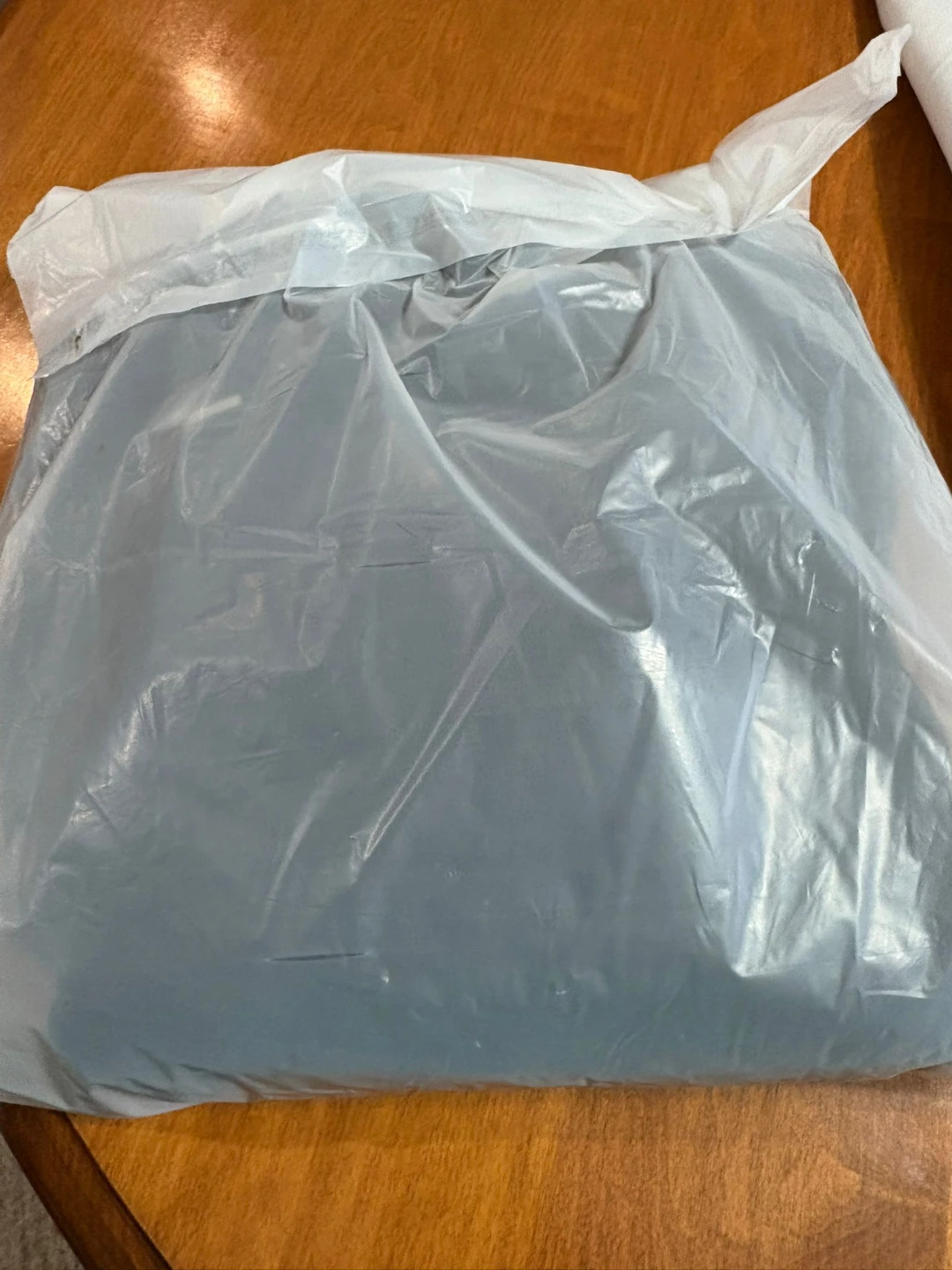 The AC Black Beauty Anime Hoodie - Size L - photo 4