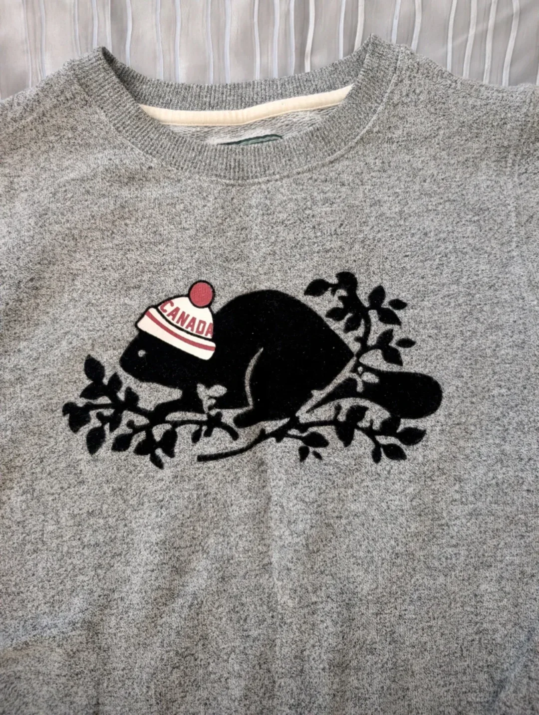 Roots Youth Sweatshirt Size XL 11-12 yrs