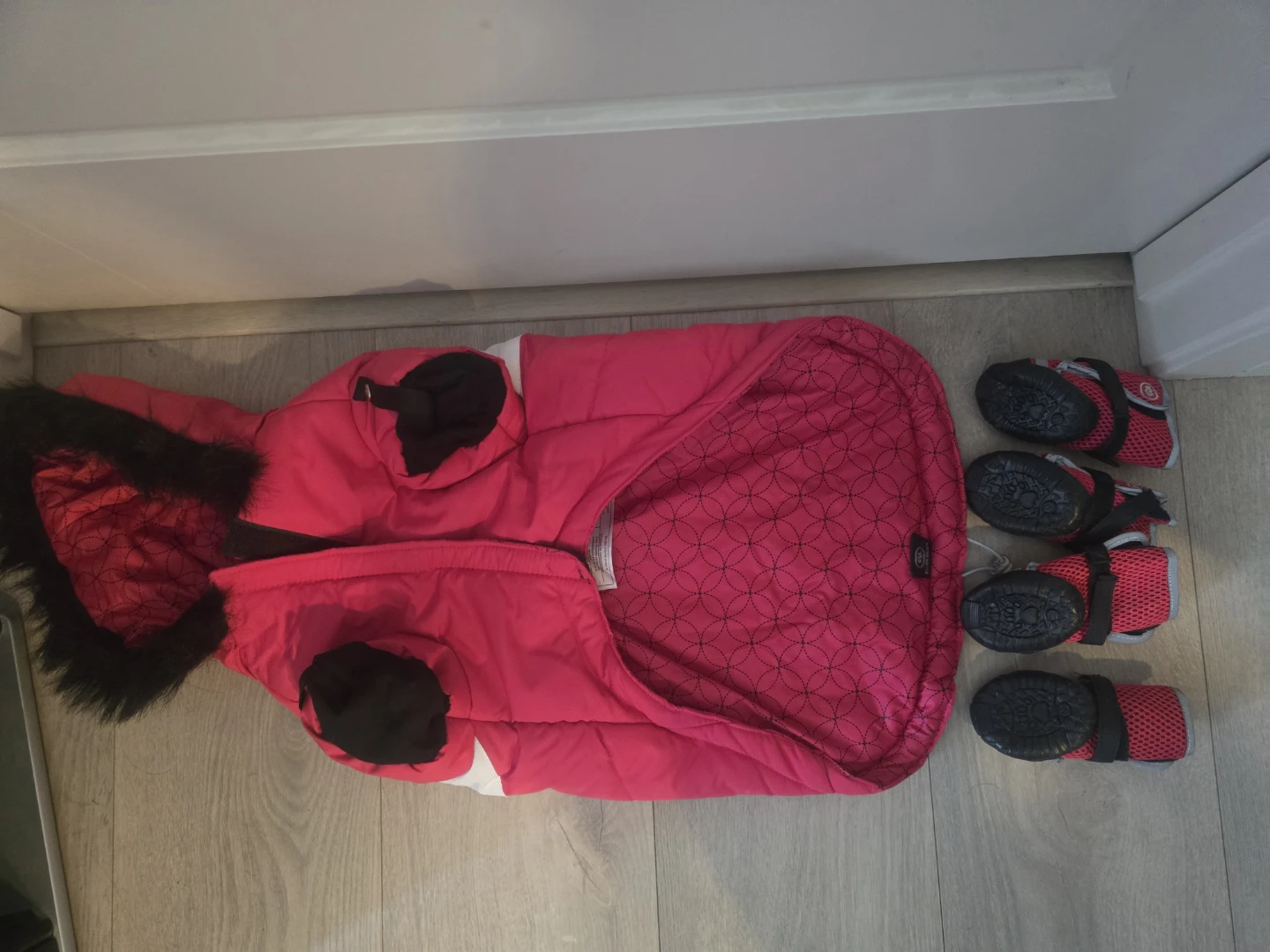 Silver Paw Jacket & Shoe