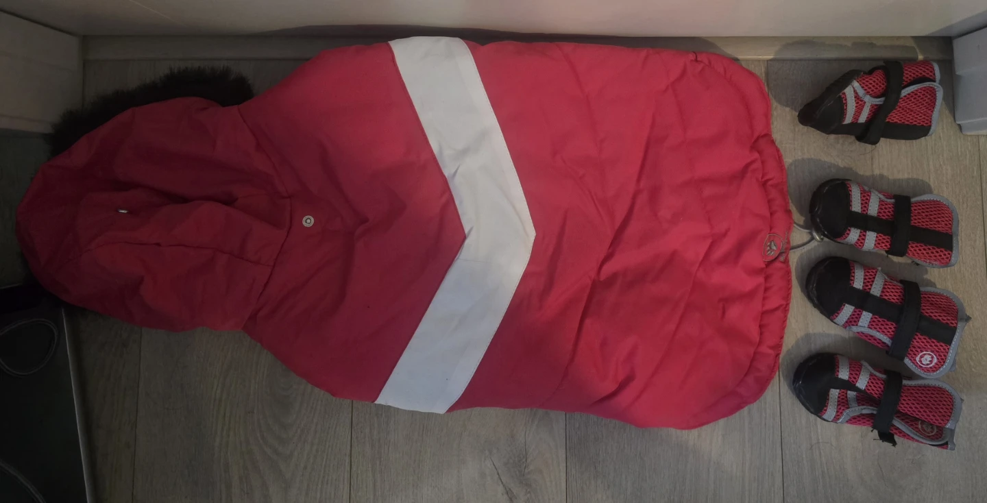 Silver Paw Jacket & Shoe - photo 2