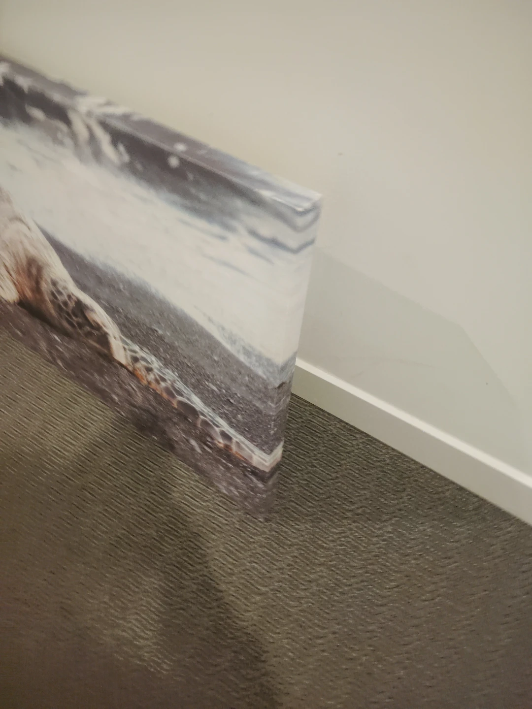 Turtle Canvas Wall Art - photo 2