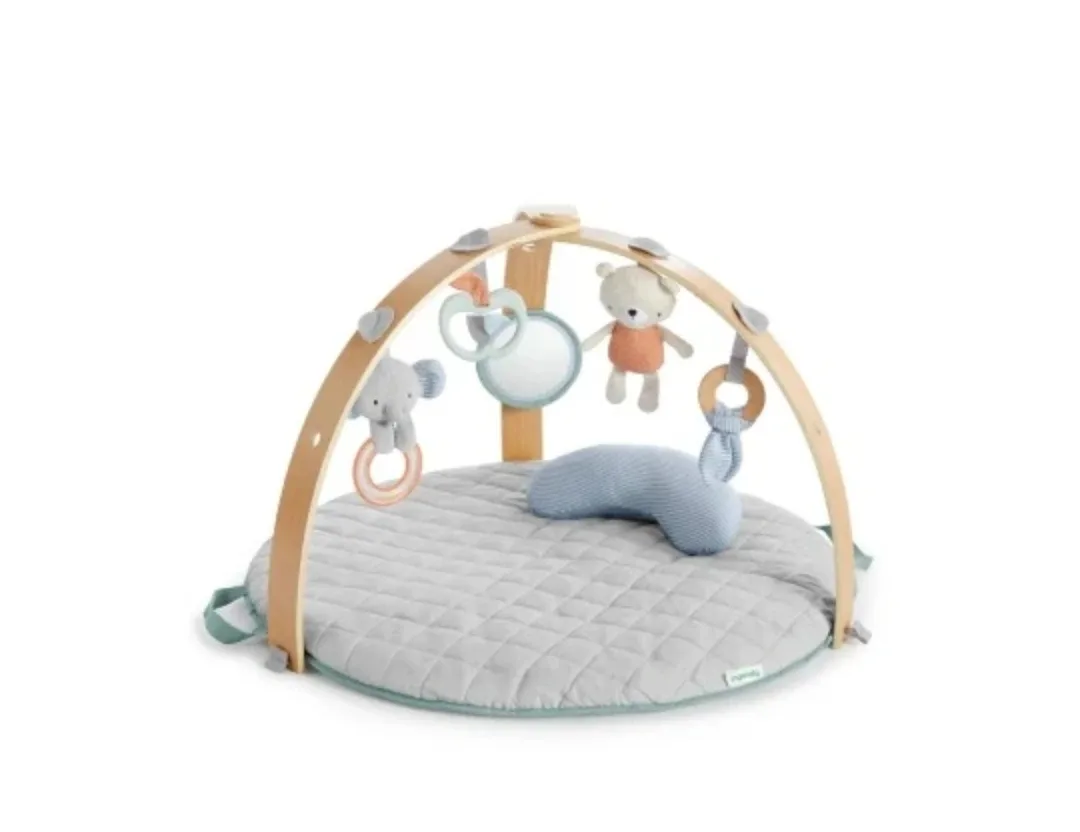 Wooden Baby Walker and Ingenuity cozy gym image indicator(3)