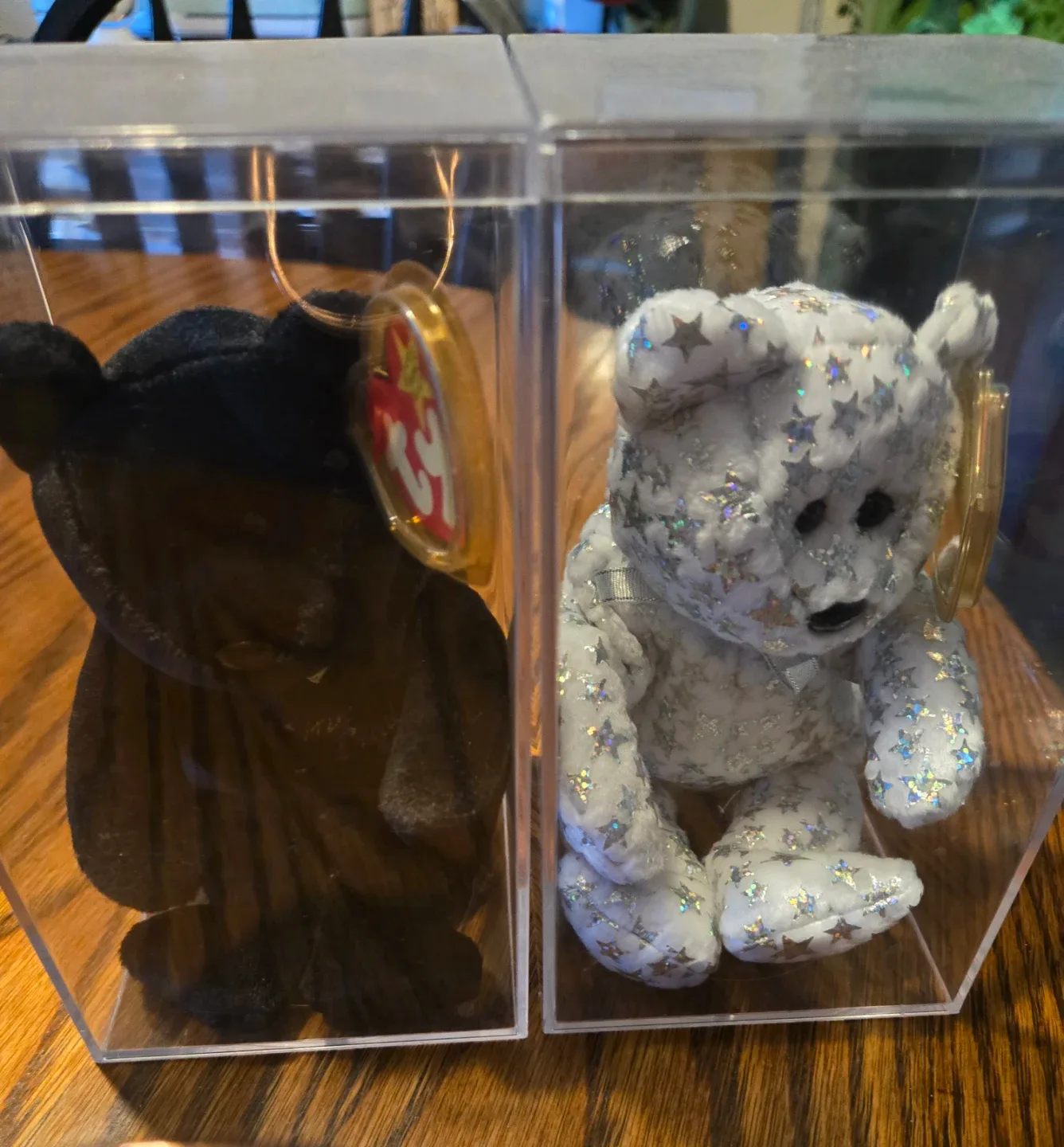 Ty Beanie Baby Bears - Black & White