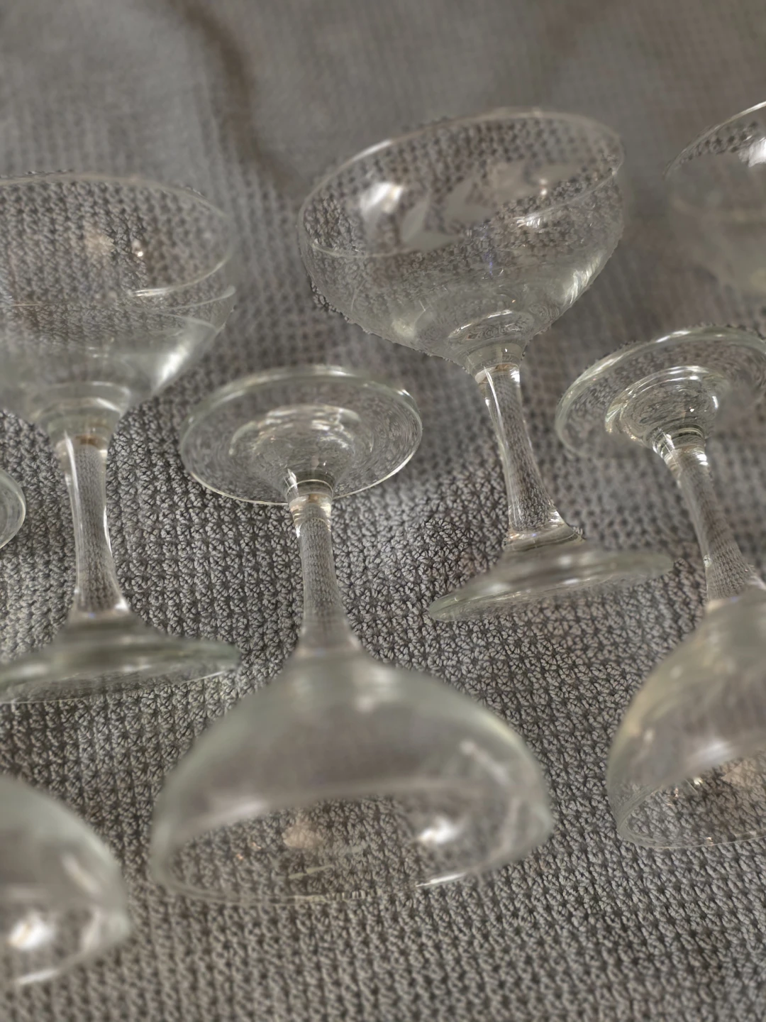 Etched Coupe Glasses - Set of 6