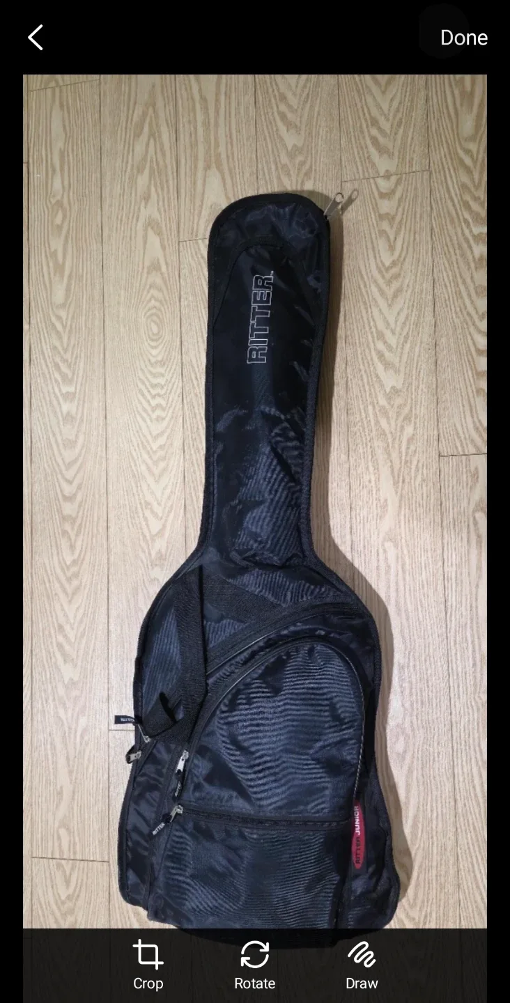 Jackson Electric Guitar with Ritter Gig Bag