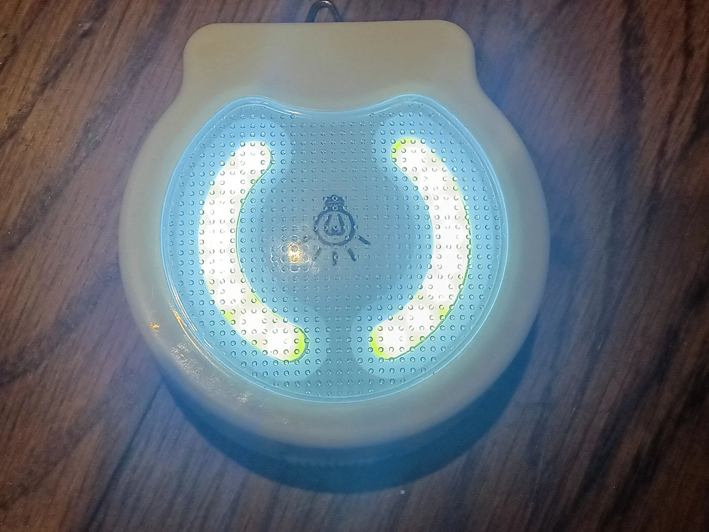LED Push Light