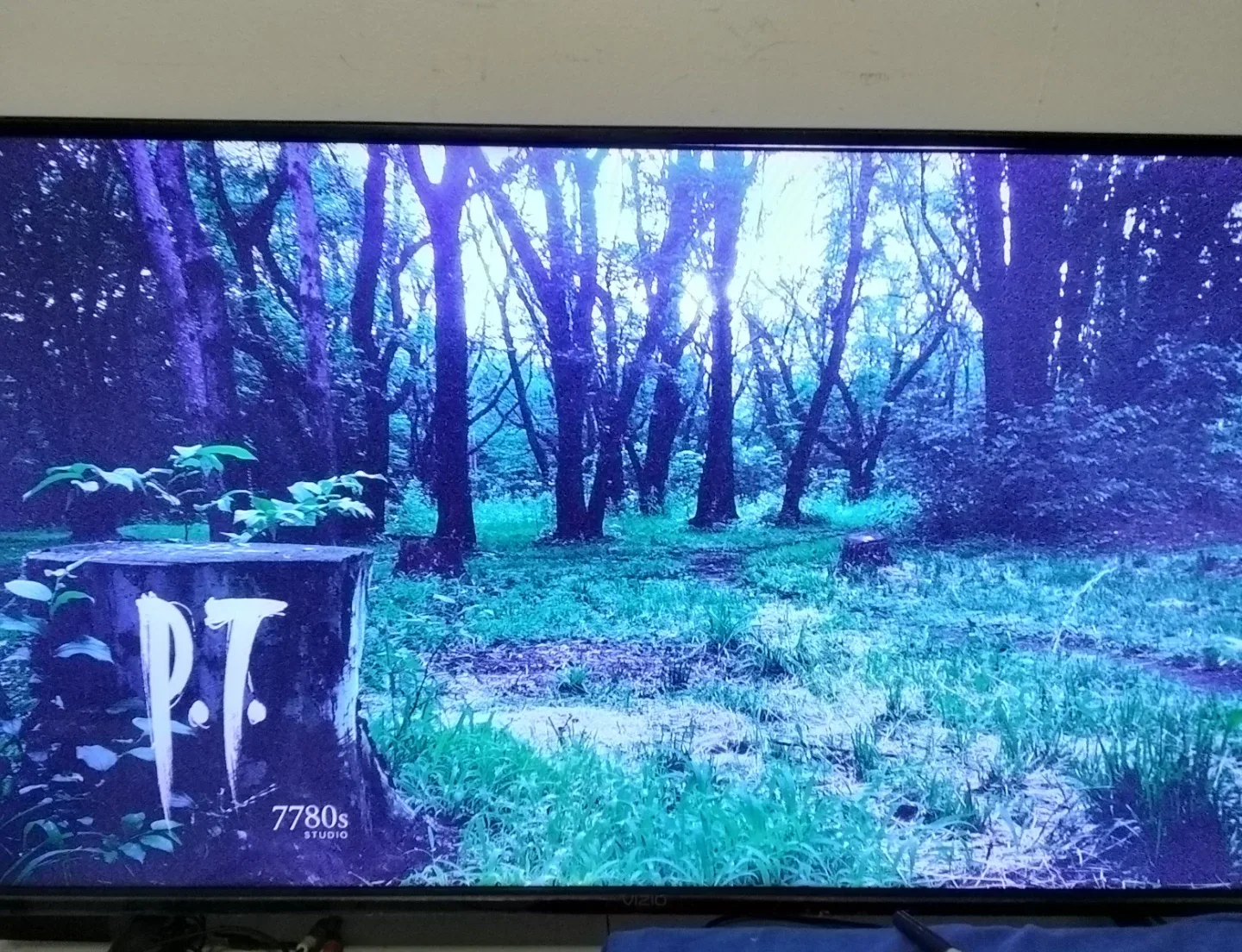 PS4)1TB 9.00Hen w PT demo & more)Plug N Play(Ultra rare)