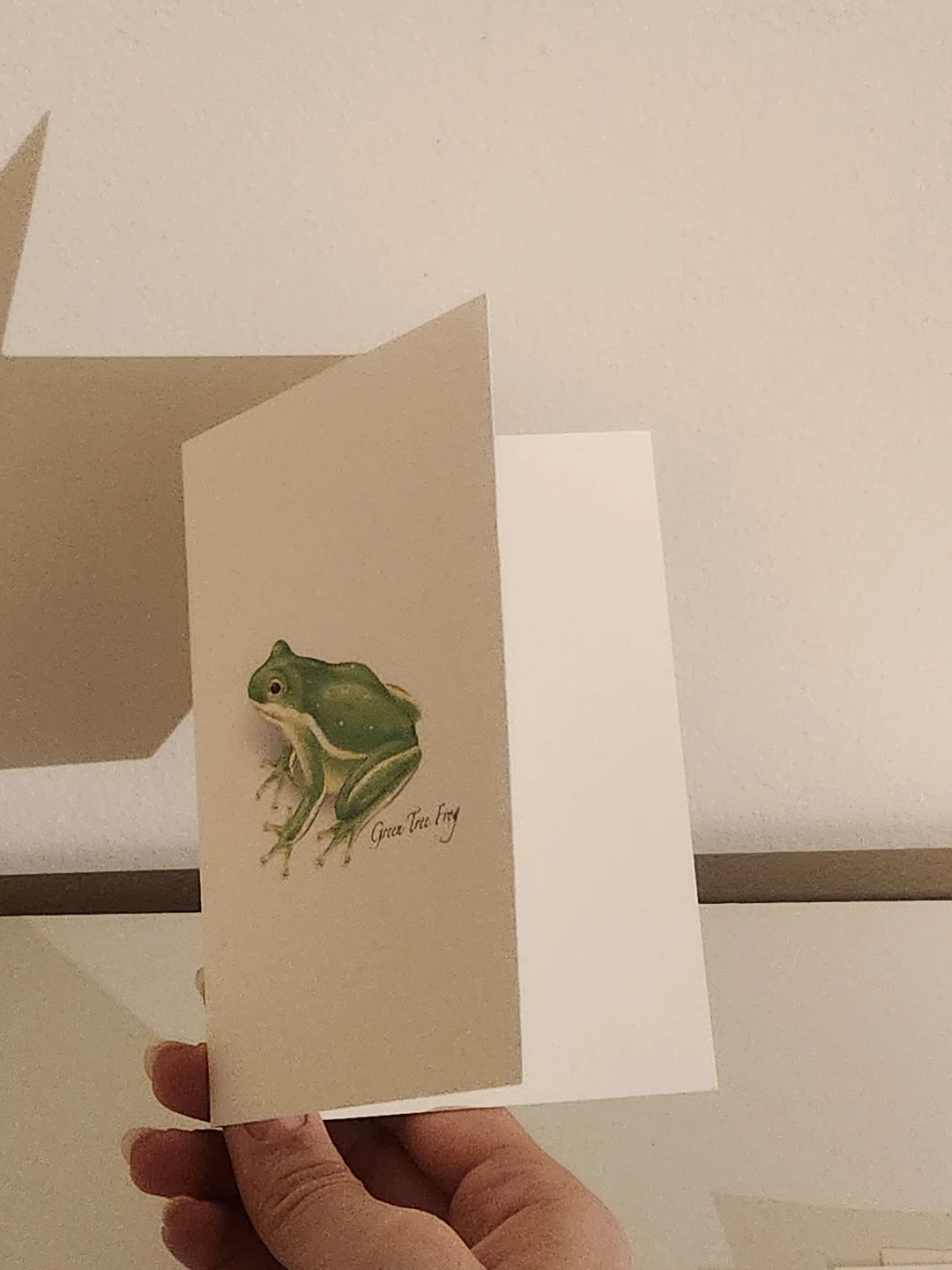 Assorted frog cards!! - photo 2