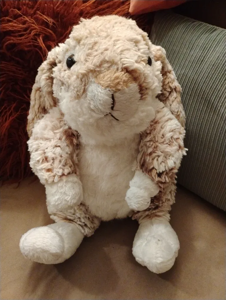 Save Our Earth Now Bunny Plush
