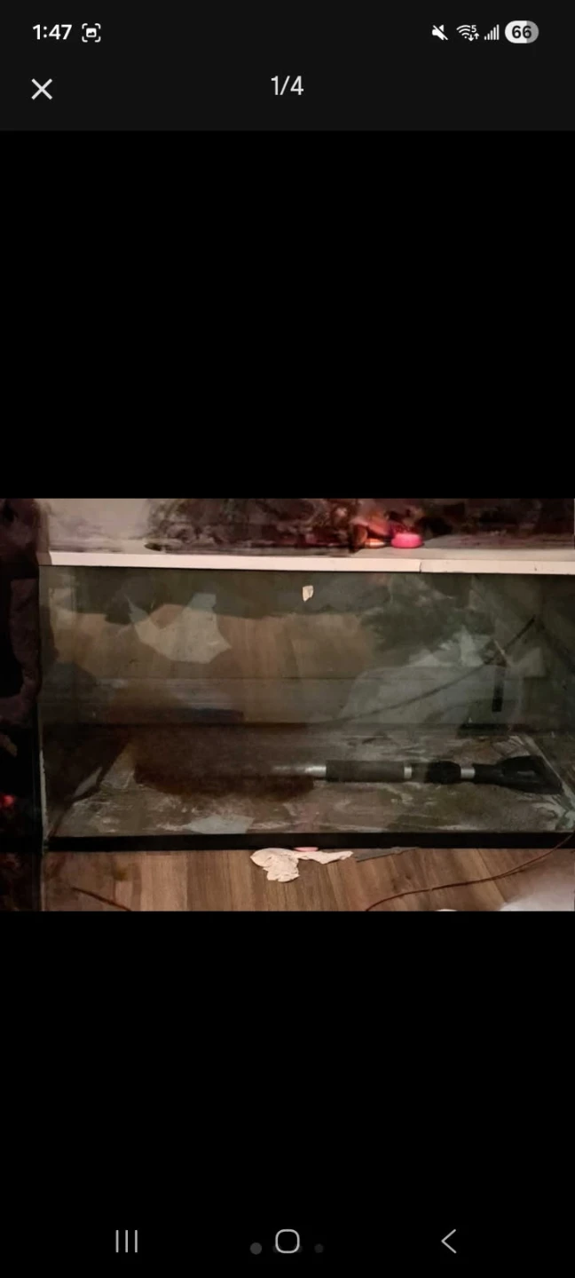 Reptile tank - photo 2
